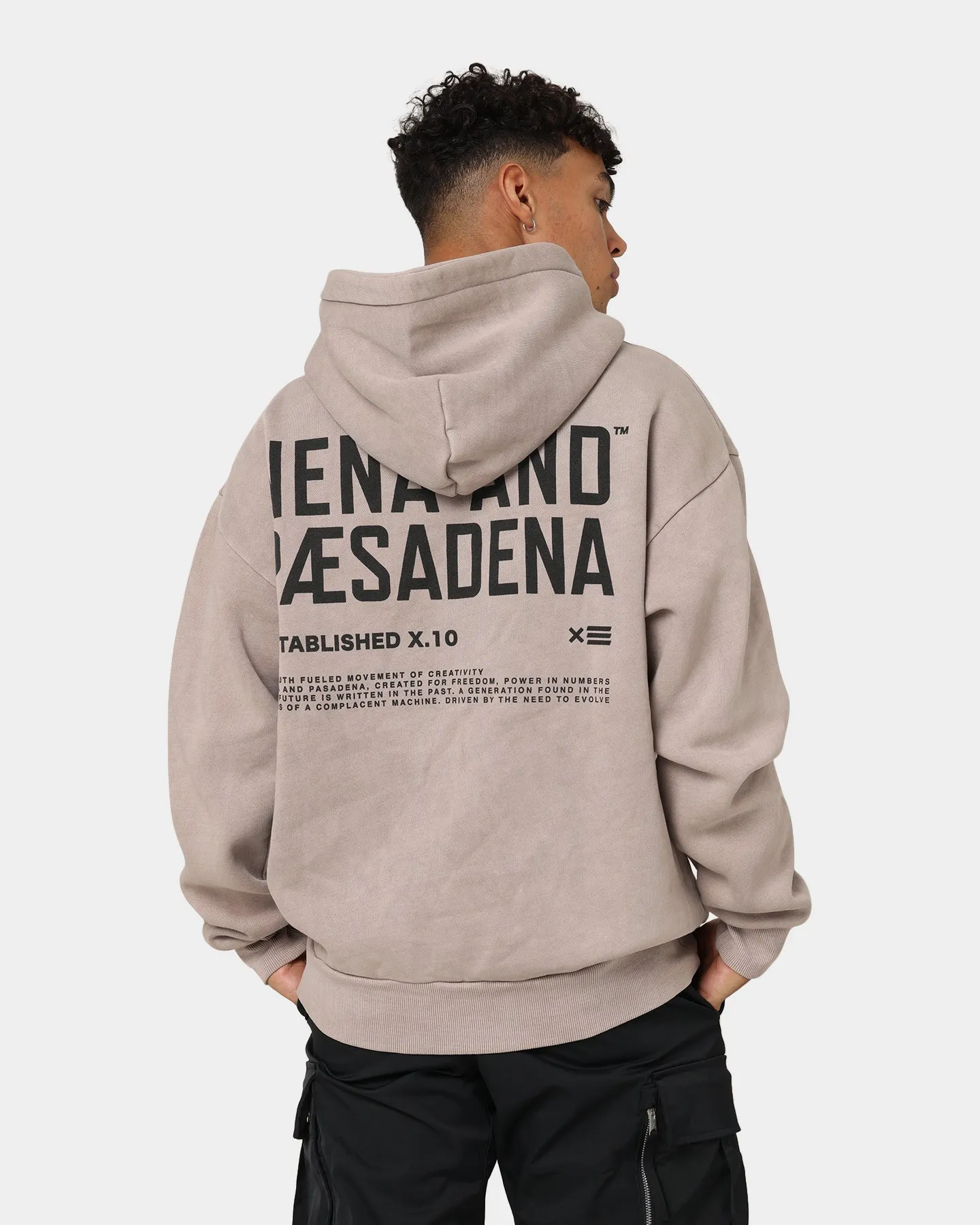 Nena and Pasadena Untamable Relaxed Hoodie Pigment Mushroom