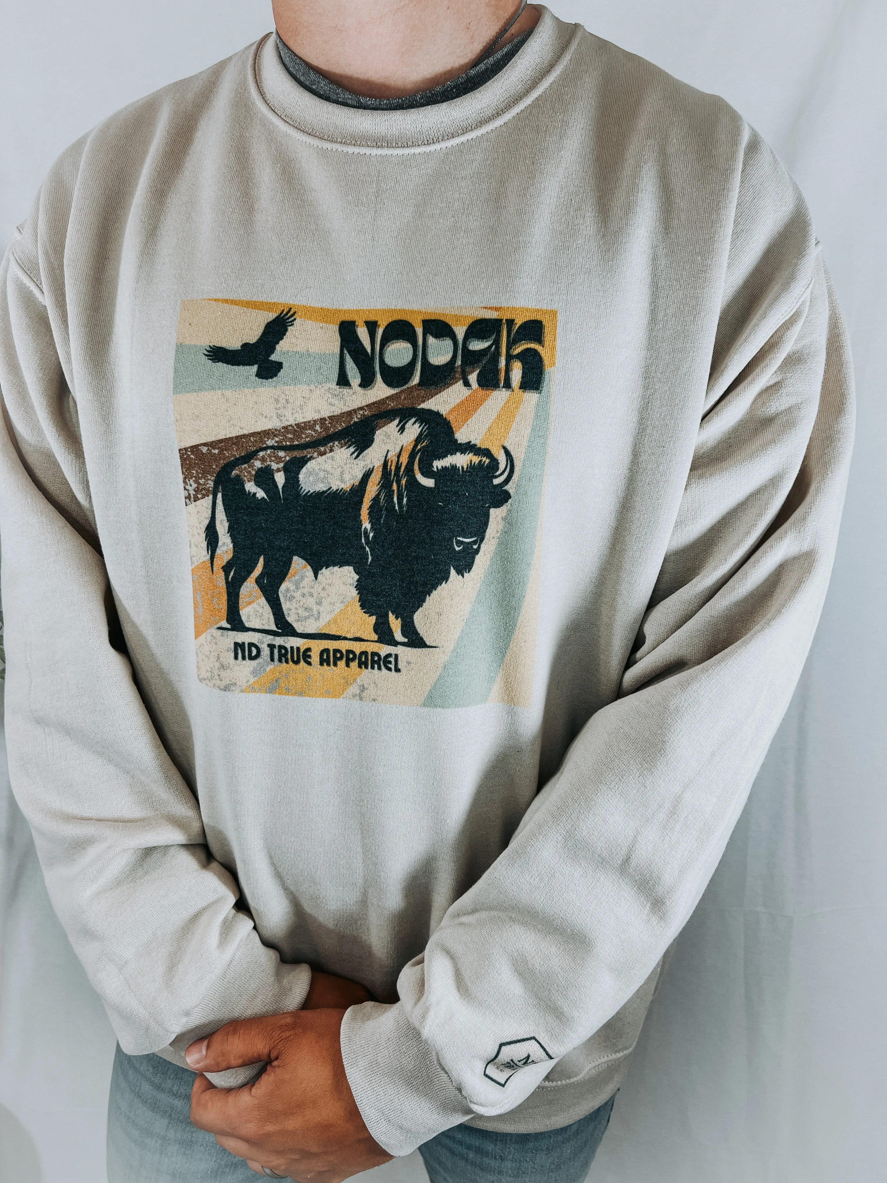 NODAK Bison